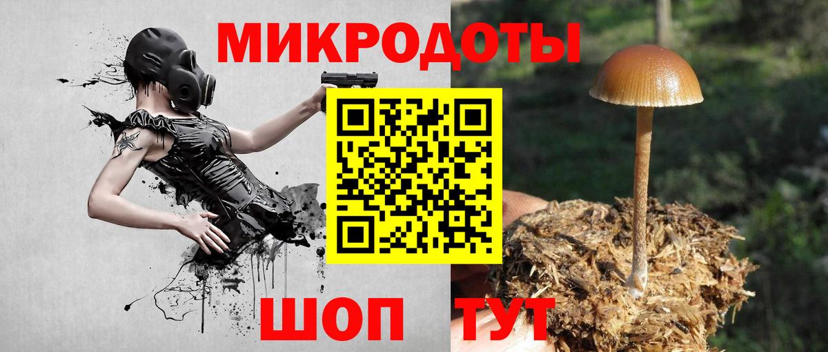 Галлюциногенные грибы прущие грибы Арсеньев
