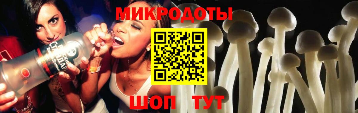 Арсеньев  Галлюциногенные грибы Psilocybine cubensis  Вход с VPN 